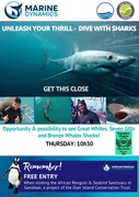 Next Shark Cage Diving Trip: 13 June 2024