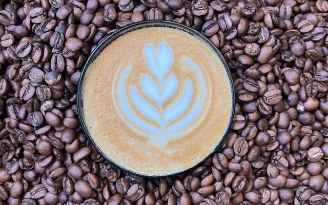 Raging_Goose_Latte_Art_in_roasted_coffee_beans_01_1718271172 Raging_Goose_Latte_Art_in_roasted_coffee_beans_01_1718271172