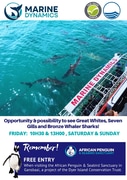 Next Shark Cage Diving Trip: 14 June 2024
