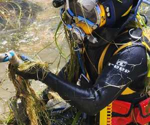 Pearly Beach Water Supply Dam Strainer Inspection