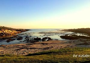 Top 10 Reasons to Visit Gansbaai
