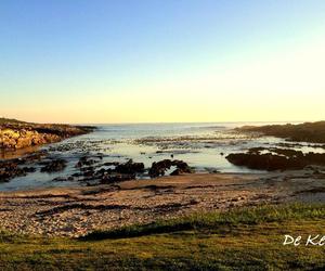 Top 10 Reasons to Visit Gansbaai