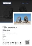 Stefan Botha Excels: Eurasia Youth Photo Contest