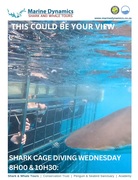 Next Shark Cage Diving Trip: 19 June 2024