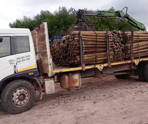 Vineyard Pine Poles Delivered to Beaumont Wine Estate!