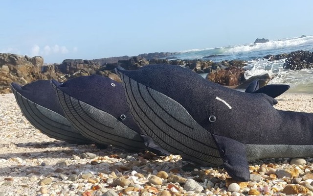 WhatsApp_Image_2024_06_19_at_09.12.43_1718783814