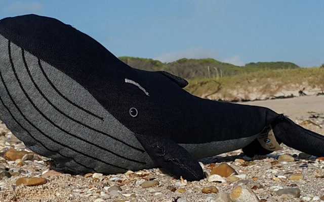 WhatsApp_Image_2024_06_19_at_09.12.43_3_1718785056