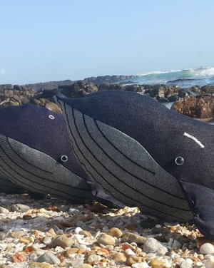 WhatsApp_Image_2024_06_19_at_9.14.05_AM_1718786854