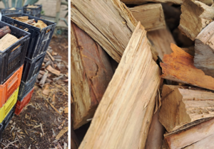 Firewood and Firestarter Goodies