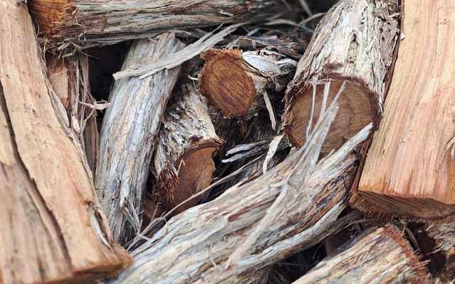 WhatsApp_Image_2024_06_19_at_09.56.14_2_1718788506