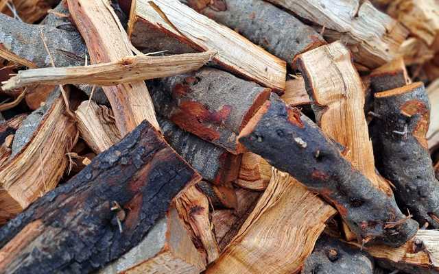 WhatsApp_Image_2024_06_19_at_09.56.15_2_1718788507