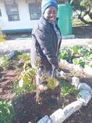 Growing Together at Masakhane Hub with Zimasa