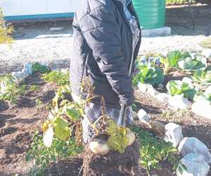 Growing Together at Masakhane Hub with Zimasa