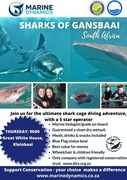Next Shark Cage Diving Trip: 20 June 2024