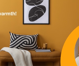 Trending Interior Colours to Transform Your Commercial Space