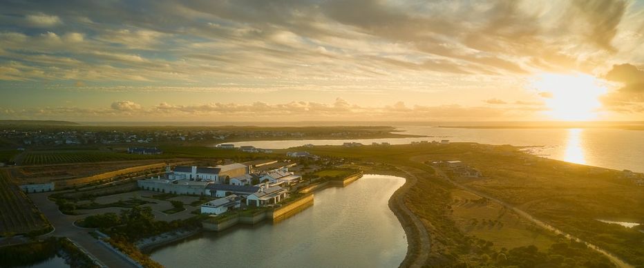 FNB_whales_to_wine_1718807792