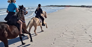 Mid-Winter Horse Riding Trails