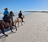 Mid-Winter Horse Riding Trails