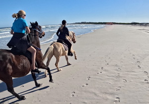 Mid-Winter Horse Riding Trails