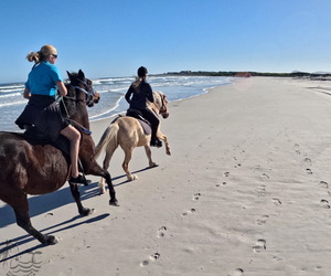 Mid-Winter Horse Riding Trails