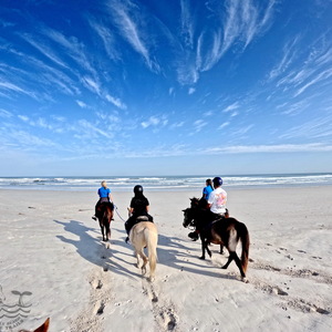 Pearly Beach Horse Trails