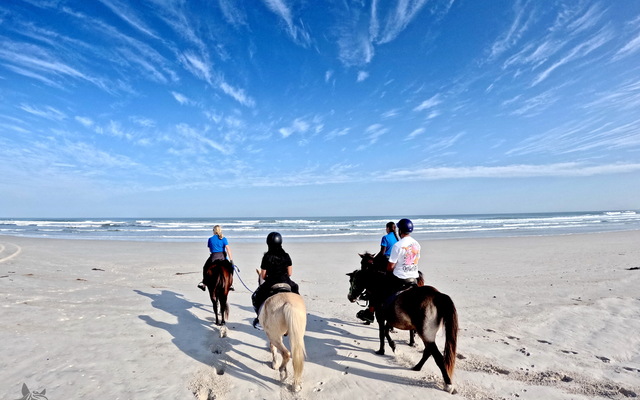 Pearly Beach Horse Trails