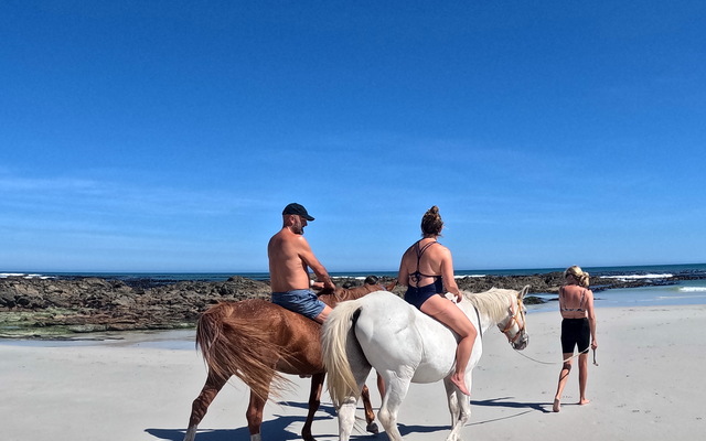 Pearly Beach Horse Trails