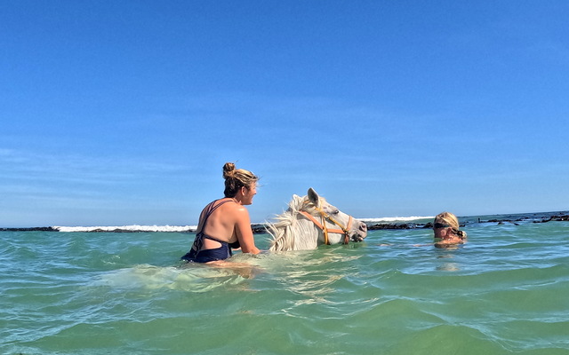 Pearly Beach Horse Trails