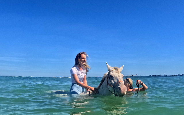 Pearly Beach Horse Trails