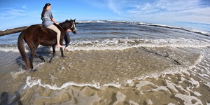 Pearly Beach Horse Trails