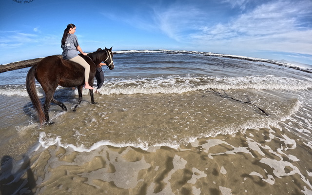 Pearly Beach Horse Trails