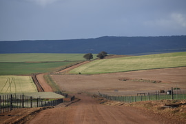 Why Choose Self-Catering Accommodation in Bredasdorp?