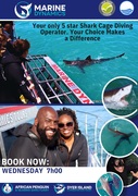 Next Shark Cage Diving Trip: 26 June 2024