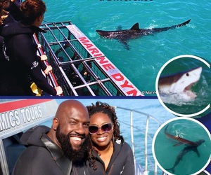 Next Shark Cage Diving Trip: 26 June 2024