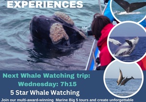Next Marine Big 5 Trip: 26 June 2024