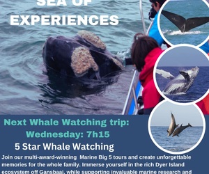 Next Marine Big 5 Trip: 26 June 2024