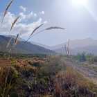 Pringle Bay (Photo by: Lezette van Jaarsveld) Pringle Bay (Photo by: Lezette van Jaarsveld)