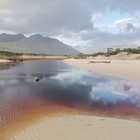 Pringle Bay Beach (Photo by Hilja Kerrigan) Pringle Bay Beach (Photo by Hilja Kerrigan)