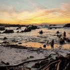 Pringle Bay Beach (Photo by Tjaart Herbst) Pringle Bay Beach (Photo by Tjaart Herbst)