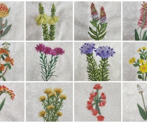 17 July 2024: Cape Fynbos Hand Embroidery Workshop