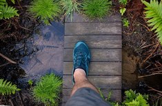 279436774_424094773051243_3396383875660511197_n_1719317054