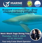 Next Shark Cage Diving Trip: 27 June 2024