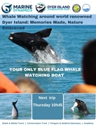 Next Marine Big 5 Trip: 27 June 2024