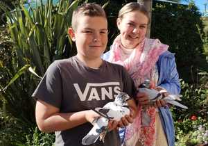 Gansbaai Posduifklub: Eerste Duiwe Wedvlug vir 2024