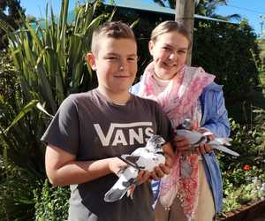 Gansbaai Posduifklub: Eerste Duiwe Wedvlug vir 2024