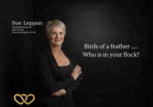 Identify Your Influencers