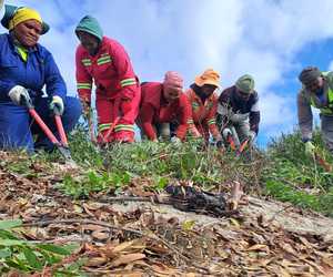 Biodiversity Stewards at Walker Bay