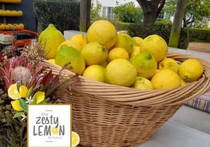 Fresh Lemon Meringue and Marmalade