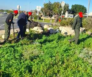 Phase 1 of Spar Sidewalk Complete!