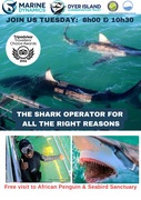 Next Shark Cage Diving Trip: 2 July 2024